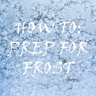 prep for frost blog.jpg