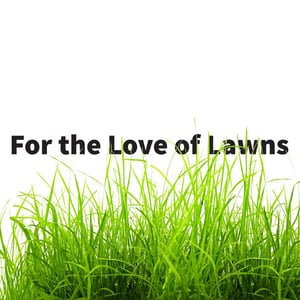for the love of lawns blog