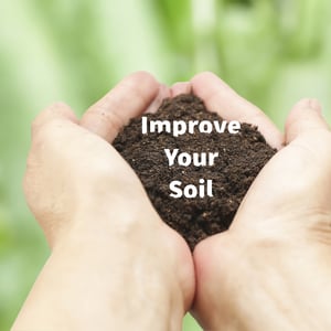 Improve your soil blog