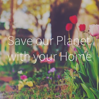 Save our planet with your home blog.jpg