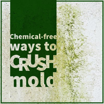 Crush_mold-01