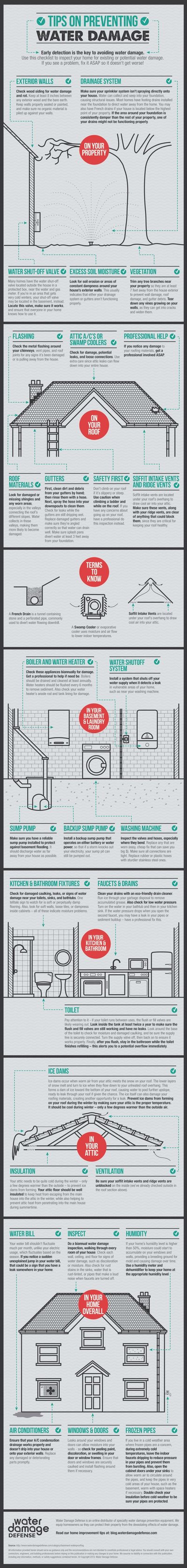preventing_water_damage_infographic.jpg